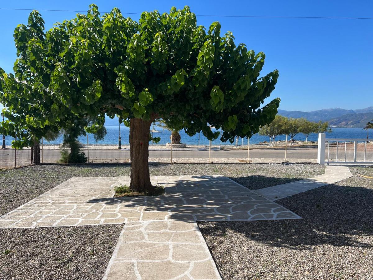 Pebble Apartments Marathias  Luaran gambar